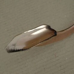 Cultivateur En Cuivre Modèle Pegasus - Gamme PKS Bronze -Plantes Jardin Shop Cultivateur en cuivre modele Pegasus Gamme Schauberger 99237 5