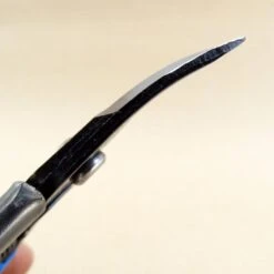 Epinette à Lames Courbes - Bouts Arrondis -Plantes Jardin Shop Epinette a lames courbes bouts arrondis 99269 3