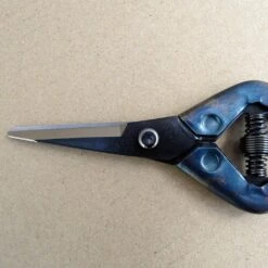 Epinette De Récolte à Longues Lames -Plantes Jardin Shop Epinette de recolte a longue lame 99270 3