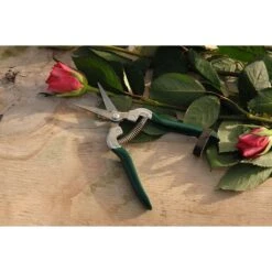 Epinette Pour Fruits Et Fleurs Burgon & Ball - Gamme RHS -Plantes Jardin Shop Epinette pour fruits et fleurs Burgon et Ball Gamme RHS 99342 3