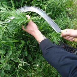 Faucille Manuelle à Broussaille 5 Faucille Manuelle à Broussaille -Plantes Jardin Shop Faucille manuelle a broussaille 99277 3