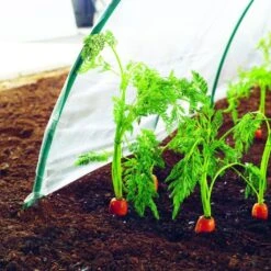 Film De Forçage Spécial Primeurs 2 X 5 M CLIMAFILM -Plantes Jardin Shop Film de forcage special primeurs 2x5m CLIMAFILM 91199 3