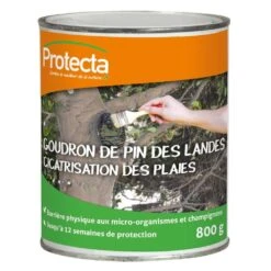 Goudron De Pin Des Landes Protecta Boîte De 800g