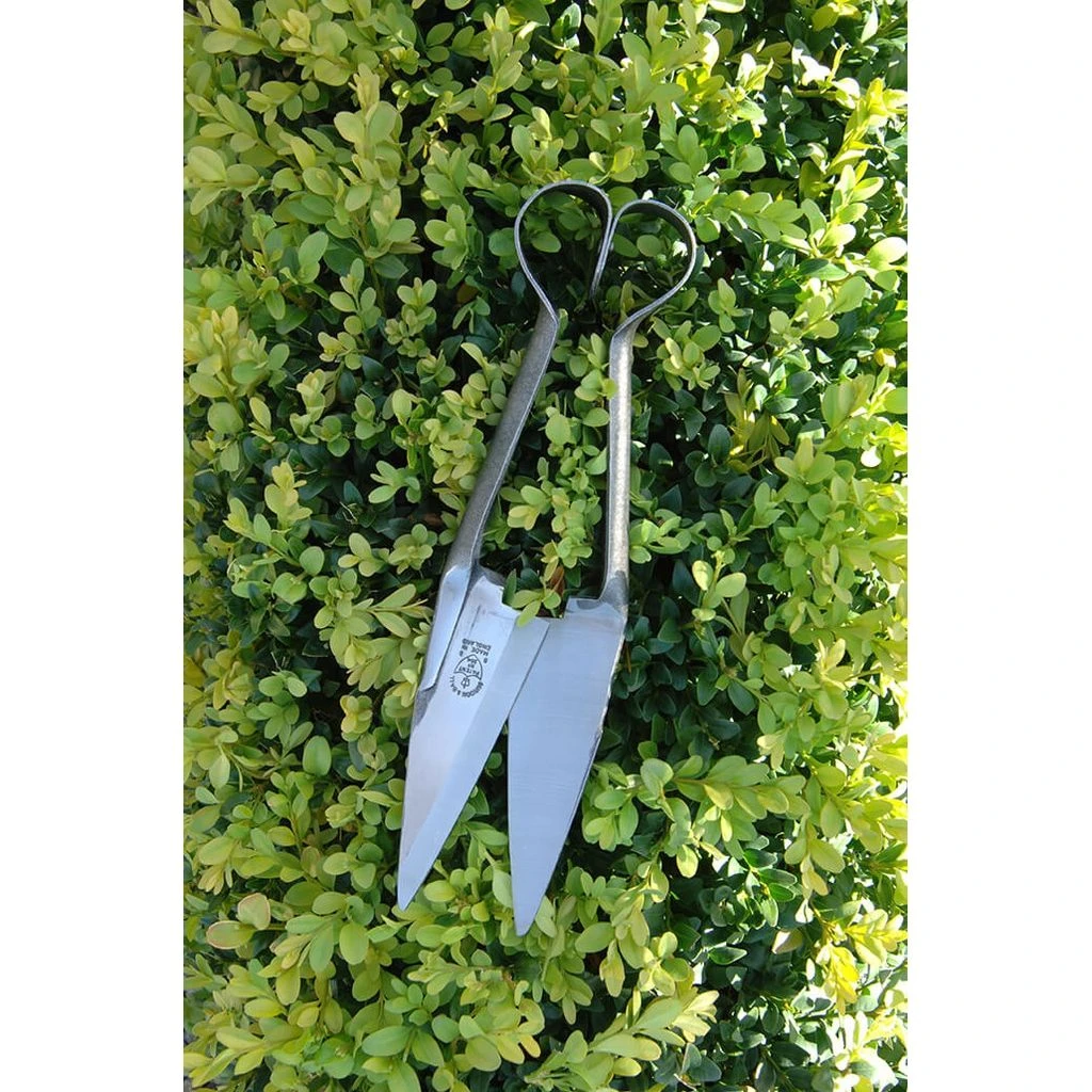 Petite Cisaille à Buis Double Arceau Burgon & Ball - Gamme Artisanale RHS 4 Petite Cisaille à Buis Double Arceau Burgon & Ball - Gamme Artisanale RHS – Image 4