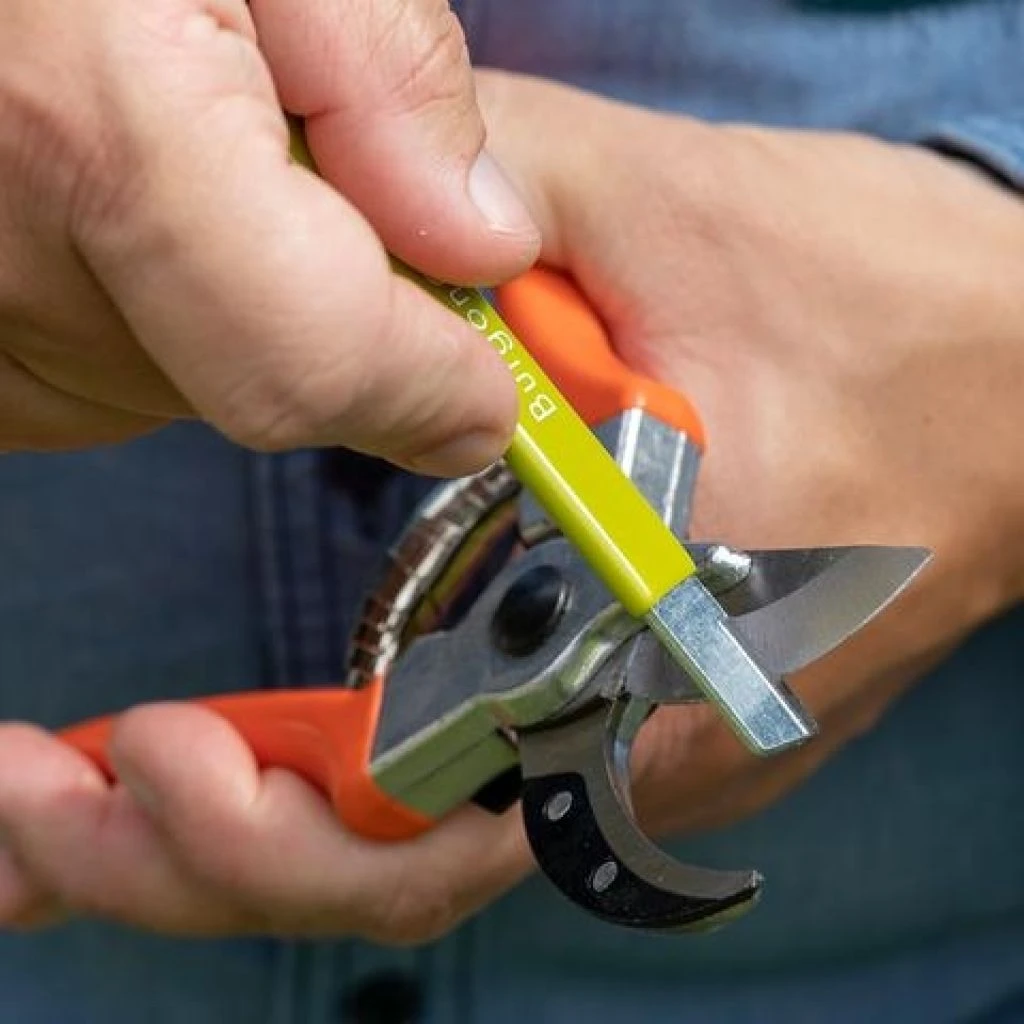 Restaurateur De Lame Burgon & Ball 1 Restaurateur De Lame Burgon & Ball