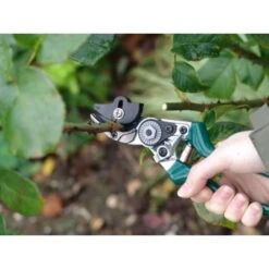 Sécateur à Rosiers Burgon & Ball - Gamme RHS -Plantes Jardin Shop Secateur a rosiers Burgon et Ball Gamme RHS 99340 3