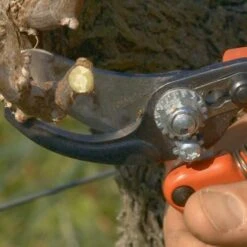 Sécateur Professionnel Ergonomique Taille S Tête N°2 Bahco PX-S2 9 Sécateur Professionnel Ergonomique Taille S Tête N°2 Bahco PX-S2 -Plantes Jardin Shop Secateur professionnel ergonomique PX S2 988371 4