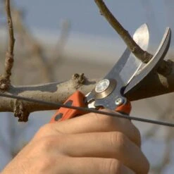 Sécateur Professionnel Ergonomique Taille S Tête N°2 Bahco PX-S2 8 Sécateur Professionnel Ergonomique Taille S Tête N°2 Bahco PX-S2 -Plantes Jardin Shop Secateur professionnel ergonomique PX S2 988371 5