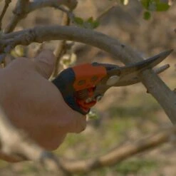 Sécateur Professionnel Ergonomique à Poignée Rotative Taille S Tête N°2 Bahco PXR-S2 -Plantes Jardin Shop Secateur professionnel ergonomique a poignee rotative PXR S2 988381 4