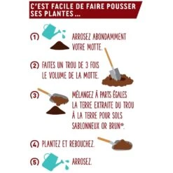 Terre Pour Sol Sablonneux Or Brun Sac De 20 L -Plantes Jardin Shop Terre pour sol sablonneux Or Brun sac de 40 L IF 17064 3