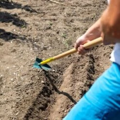 Binette Japonaise Leborgne NaturOvert -Plantes Jardin Shop binette japonaise naturovert 06t1