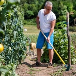 Binette Japonaise Leborgne NaturOvert -Plantes Jardin Shop binette japonaise naturovert 07t1