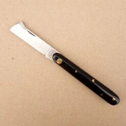 Ecussonnoir à Vigne