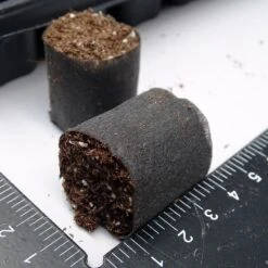 Kit Plateau Et Mottes Fertiss 3 X 3 Cm De Fertil : Plateau De 104 Mottes -Plantes Jardin Shop plateau de 104 mottes Fertiss 3x3cm pour bouturage et semis 912500 2